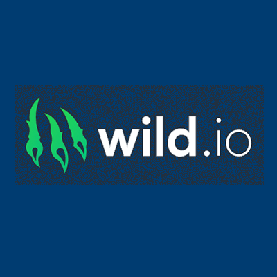 Wild.io Casino Review